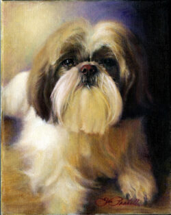 Dog Portraits Jim Prokell Studio Joey