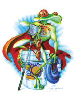 Branding Design Zappit Frog Jim Prokell Studio