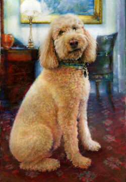 Pet Portraits Jim Prokell Golden Doodle 2