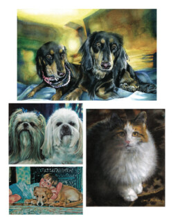 Pet Portraits Jim Prokell Collage