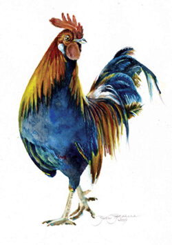 Jim Prokell Pet Portraits Rooster